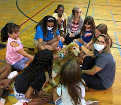 Beesleys Paw Print Therapy Dogs