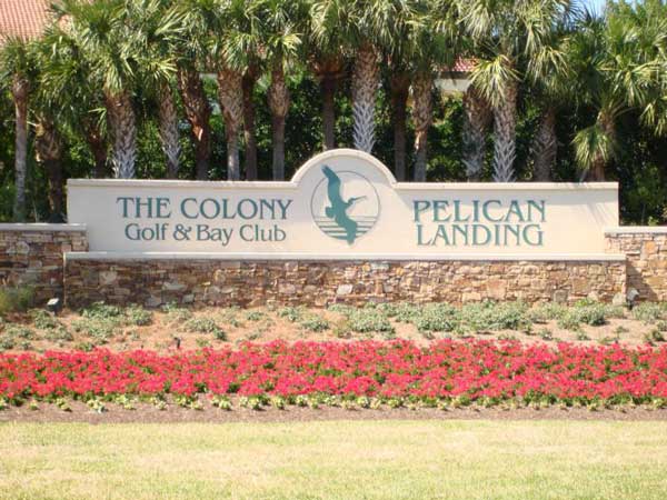 Pelican Pelican Landing Community Neighborhood