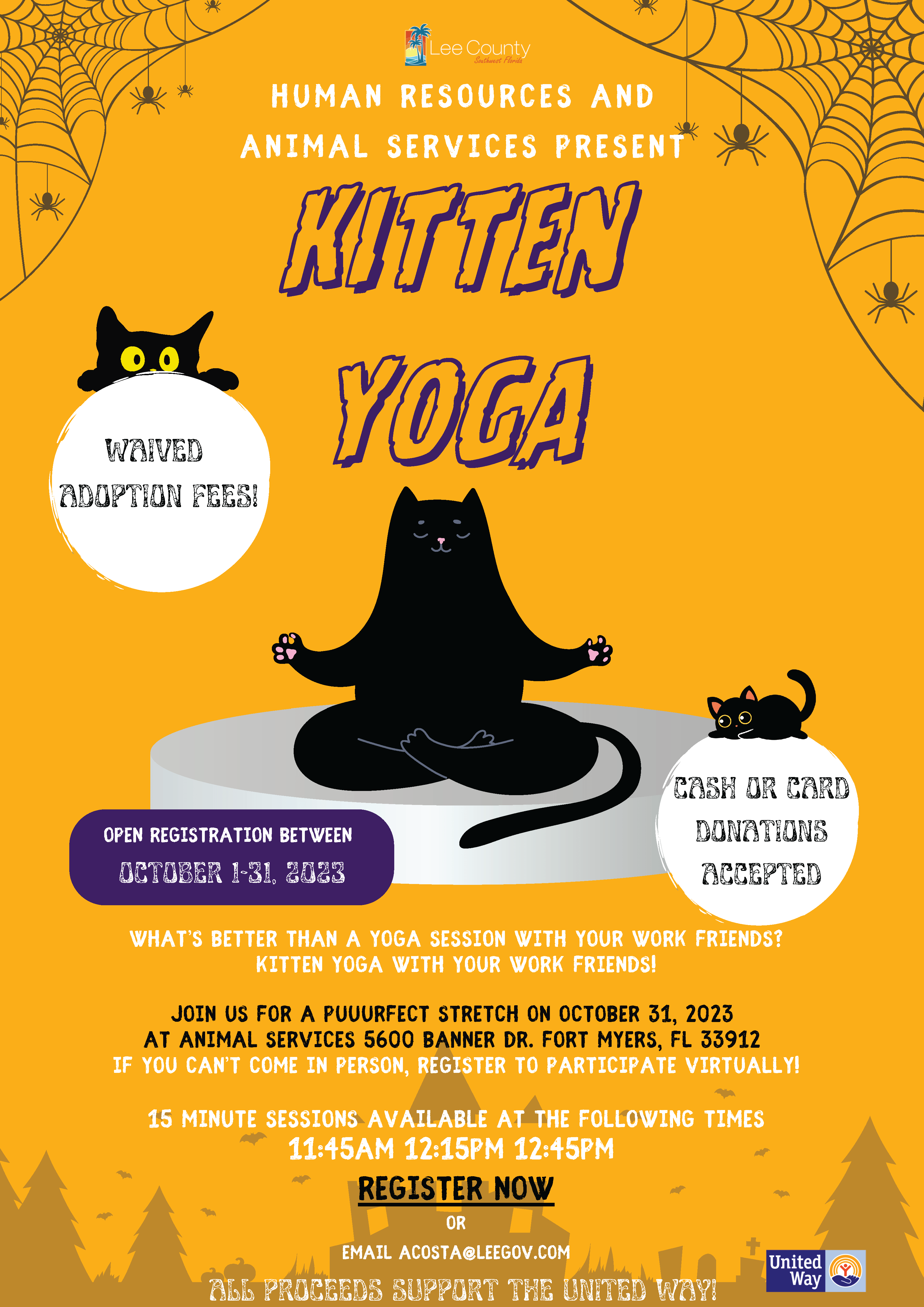 Kitten Yoga-min